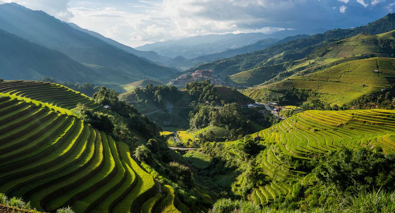 Vietnam rice terraces