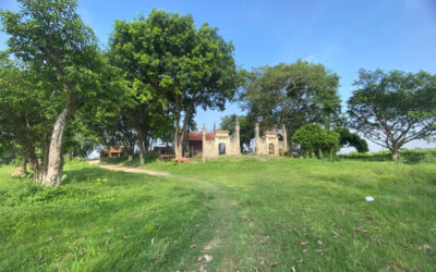 Sieu do vong linh tai phong tuyen song nhu nguyen tam giang bac ninh