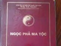 Bf7ho ma 1743220509426